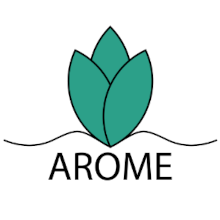 https://global-engage.com/wp-content/uploads/2024/03/Arome220.png