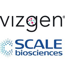 https://global-engage.com/wp-content/uploads/2024/04/Vizgen-Scale-Logo-220-1.jpg